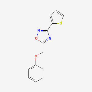 molecular formula C13H10N2O2S B5556691 5-(苯氧甲基)-3-(2-噻吩基)-1,2,4-恶二唑 