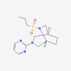 molecular formula C14H22N4O2S B5556867 (1S*,5R*)-6-(丙磺酰基)-3-(2-嘧啶基)-3,6-二氮杂双环[3.2.2]壬烷 