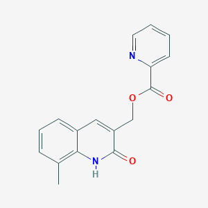 molecular formula C17H14N2O3 B5556969 (2-hydroxy-8-methyl-3-quinolinyl)methyl 2-pyridinecarboxylate 