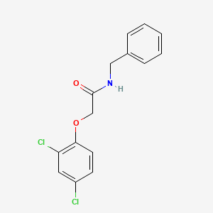 molecular formula C15H13Cl2NO2 B5557681 N-苄基-2-(2,4-二氯苯氧基)乙酰胺 