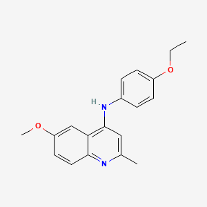 molecular formula C19H20N2O2 B5557750 N-(4-ethoxyphenyl)-6-methoxy-2-methyl-4-quinolinamine 