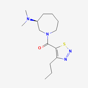 molecular formula C14H24N4OS B5558049 (3S)-N,N-二甲基-1-[(4-丙基-1,2,3-噻二唑-5-基)羰基]氮杂环戊烷-3-胺 