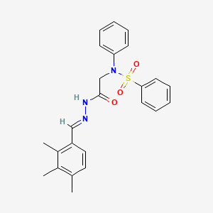 molecular formula C24H25N3O3S B5558556 N-{2-oxo-2-[2-(2,3,4-trimethylbenzylidene)hydrazino]ethyl}-N-phenylbenzenesulfonamide 