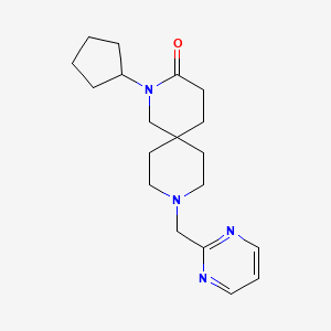 molecular formula C19H28N4O B5558581 2-cyclopentyl-9-(pyrimidin-2-ylmethyl)-2,9-diazaspiro[5.5]undecan-3-one 
