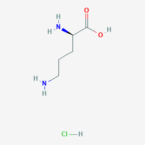 molecular formula C5H13ClN2O2 B555907 D-Ornithine hydrochloride CAS No. 16682-12-5
