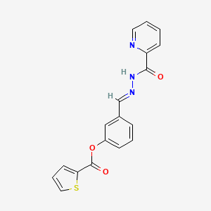 molecular formula C18H13N3O3S B5559101 3-[2-(2-pyridinylcarbonyl)carbonohydrazonoyl]phenyl 2-thiophenecarboxylate 