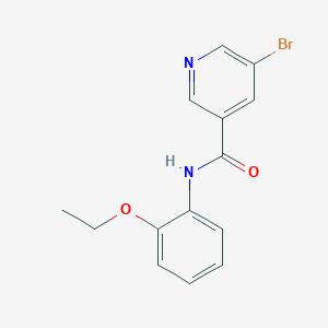 molecular formula C14H13BrN2O2 B5559477 5-bromo-N-(2-ethoxyphenyl)nicotinamide 