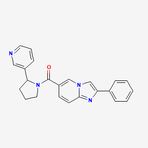 molecular formula C23H20N4O B5559632 2-phenyl-6-[(2-pyridin-3-ylpyrrolidin-1-yl)carbonyl]imidazo[1,2-a]pyridine 