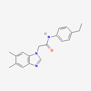 molecular formula C19H21N3O B5559674 2-(5,6-dimethyl-1H-benzimidazol-1-yl)-N-(4-ethylphenyl)acetamide 
