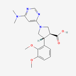 molecular formula C19H24N4O4 B5559702 (3S*,4R*)-4-(2,3-dimethoxyphenyl)-1-[6-(dimethylamino)pyrimidin-4-yl]pyrrolidine-3-carboxylic acid 