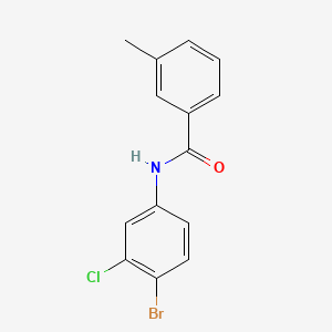 molecular formula C14H11BrClNO B5559974 N-(4-bromo-3-chlorophenyl)-3-methylbenzamide 