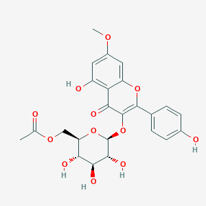 molecular formula C24H24O12 B055602 新扁叶苷 CAS No. 123442-25-1