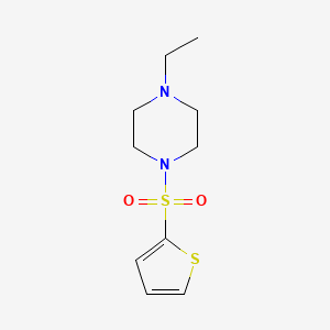 molecular formula C10H16N2O2S2 B5560411 1-乙基-4-(2-噻吩基磺酰基)哌嗪 