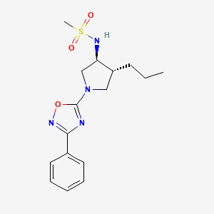 molecular formula C16H22N4O3S B5562073 N-[(3S*,4R*)-1-(3-苯基-1,2,4-恶二唑-5-基)-4-丙基-3-吡咯烷基]甲磺酰胺 