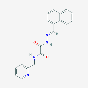 molecular formula C19H16N4O2 B5562086 2-[2-(1-naphthylmethylene)hydrazino]-2-oxo-N-(2-pyridinylmethyl)acetamide 