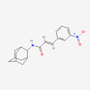 molecular formula C19H22N2O3 B5562116 N-2-金刚烷基-3-(3-硝基苯基)丙烯酰胺 