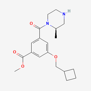 molecular formula C19H26N2O4 B5562554 methyl 3-(cyclobutylmethoxy)-5-{[(2R)-2-methyl-1-piperazinyl]carbonyl}benzoate hydrochloride 