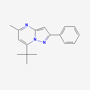 molecular formula C17H19N3 B5562579 7-叔丁基-5-甲基-2-苯基吡唑并[1,5-a]嘧啶 