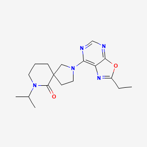 molecular formula C18H25N5O2 B5562738 2-(2-ethyl[1,3]oxazolo[5,4-d]pyrimidin-7-yl)-7-isopropyl-2,7-diazaspiro[4.5]decan-6-one 