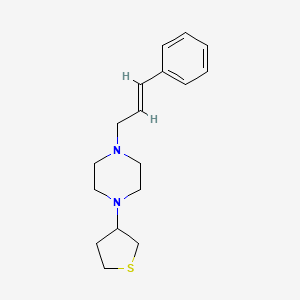 molecular formula C17H24N2S B5563182 1-(3-phenyl-2-propen-1-yl)-4-(tetrahydro-3-thienyl)piperazine 