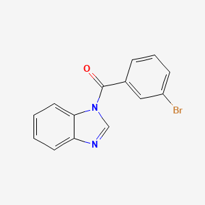 molecular formula C14H9BrN2O B5563260 1-(3-bromobenzoyl)-1H-benzimidazole 