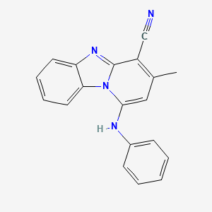 molecular formula C19H14N4 B5563833 1-苯胺基-3-甲基吡啶并[1,2-a]苯并咪唑-4-腈 