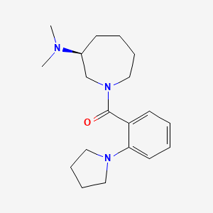 molecular formula C19H29N3O B5564243 (3S)-N,N-dimethyl-1-(2-pyrrolidin-1-ylbenzoyl)azepan-3-amine 