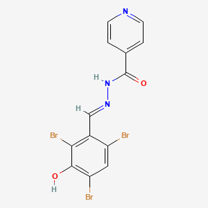 molecular formula C13H8Br3N3O2 B5564323 N'-(2,4,6-三溴-3-羟基亚苄基)异烟肼 