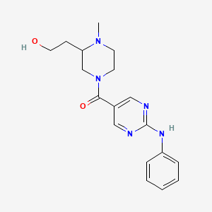 molecular formula C18H23N5O2 B5564975 2-{4-[(2-苯胺基-5-嘧啶基)羰基]-1-甲基-2-哌嗪基}乙醇 