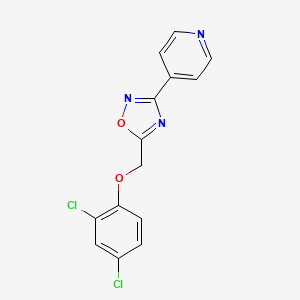 molecular formula C14H9Cl2N3O2 B5565201 4-{5-[(2,4-二氯苯氧基)甲基]-1,2,4-恶二唑-3-基}吡啶 