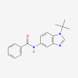 molecular formula C18H19N3O B5565226 N-(1-tert-butyl-1H-benzimidazol-5-yl)benzamide 