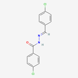 molecular formula C14H10Cl2N2O B5565612 4-氯-N'-(4-氯苄叉)苯甲酰肼 CAS No. 23289-03-4