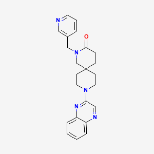 molecular formula C23H25N5O B5565776 2-(pyridin-3-ylmethyl)-9-quinoxalin-2-yl-2,9-diazaspiro[5.5]undecan-3-one 