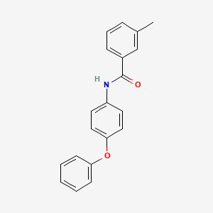 molecular formula C20H17NO2 B5566012 3-methyl-N-(4-phenoxyphenyl)benzamide 
