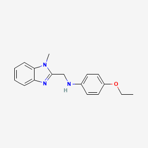 molecular formula C17H19N3O B5567261 (4-ethoxyphenyl)[(1-methyl-1H-benzimidazol-2-yl)methyl]amine 