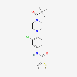 molecular formula C20H24ClN3O2S B5567615 N-{3-chloro-4-[4-(2,2-dimethylpropanoyl)-1-piperazinyl]phenyl}-2-thiophenecarboxamide 