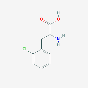 molecular formula C9H10ClNO2 B556781 2-氨基-3-(2-氯苯基)丙酸 CAS No. 14091-11-3