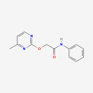 molecular formula C13H13N3O2 B5568231 2-[(4-methyl-2-pyrimidinyl)oxy]-N-phenylacetamide 