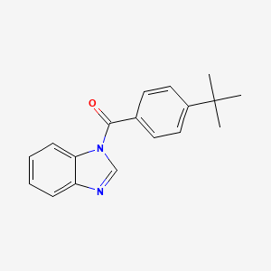 molecular formula C18H18N2O B5569046 1-(4-tert-butylbenzoyl)-1H-benzimidazole 