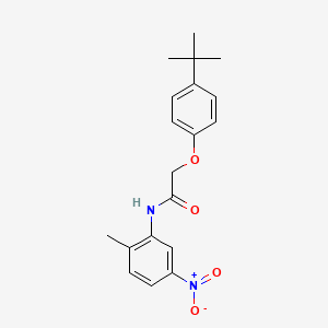 molecular formula C19H22N2O4 B5569731 2-(4-tert-butylphenoxy)-N-(2-methyl-5-nitrophenyl)acetamide 
