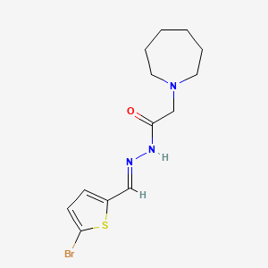 molecular formula C13H18BrN3OS B5570199 2-(1-氮杂环戊基)-N'-[(5-溴-2-噻吩基)亚甲基]乙酰肼 