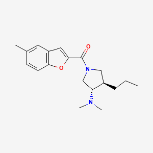 molecular formula C19H26N2O2 B5570529 (3S*,4R*)-N,N-二甲基-1-[(5-甲基-1-苯并呋喃-2-基)羰基]-4-丙基-3-吡咯烷胺 