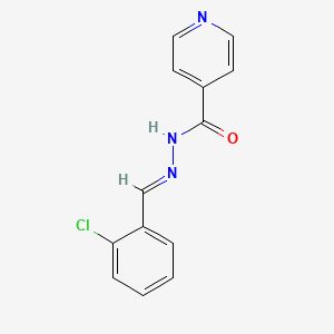 molecular formula C13H10ClN3O B5570913 N'-(2-chlorobenzylidene)isonicotinohydrazide 