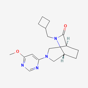 molecular formula C17H24N4O2 B5571550 (1S*,5R*)-6-(cyclobutylmethyl)-3-(6-methoxy-4-pyrimidinyl)-3,6-diazabicyclo[3.2.2]nonan-7-one 