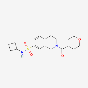 molecular formula C19H26N2O4S B5571592 N-cyclobutyl-2-(tetrahydro-2H-pyran-4-ylcarbonyl)-1,2,3,4-tetrahydroisoquinoline-7-sulfonamide 