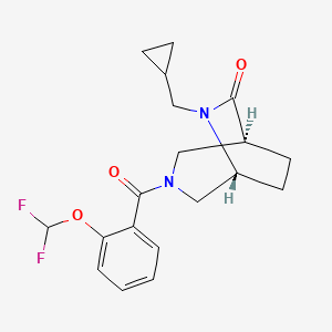 molecular formula C19H22F2N2O3 B5572208 (1S*,5R*)-6-(环丙基甲基)-3-[2-(二氟甲氧基)苯甲酰]-3,6-二氮杂双环[3.2.2]壬烷-7-酮 