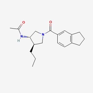 molecular formula C19H26N2O2 B5572494 N-[(3S*,4R*)-1-(2,3-二氢-1H-茚-5-酰基)-4-丙基-3-吡咯烷基]乙酰胺 