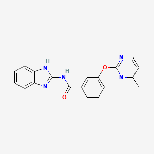 molecular formula C19H15N5O2 B5572630 N-1H-benzimidazol-2-yl-3-[(4-methyl-2-pyrimidinyl)oxy]benzamide 