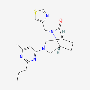 molecular formula C19H25N5OS B5572711 (1S*,5R*)-3-(6-methyl-2-propyl-4-pyrimidinyl)-6-(1,3-thiazol-4-ylmethyl)-3,6-diazabicyclo[3.2.2]nonan-7-one 