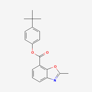 molecular formula C19H19NO3 B5573572 4-tert-butylphenyl 2-methyl-1,3-benzoxazole-7-carboxylate 